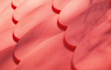 Elborough plastic roof costs